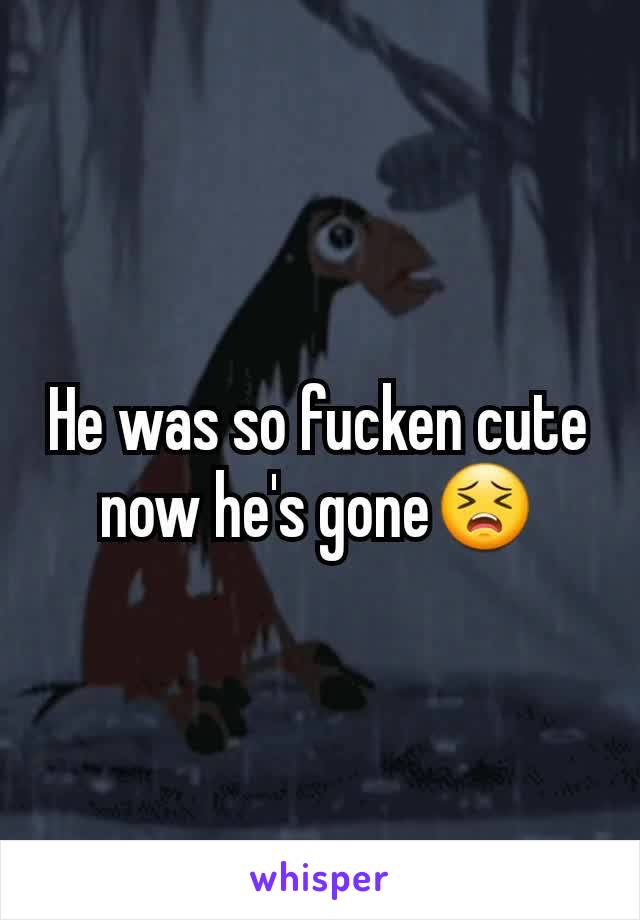 He was so fucken cute now he's gone😣