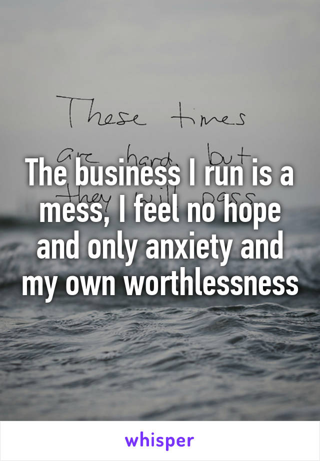 The business I run is a mess, I feel no hope and only anxiety and my own worthlessness