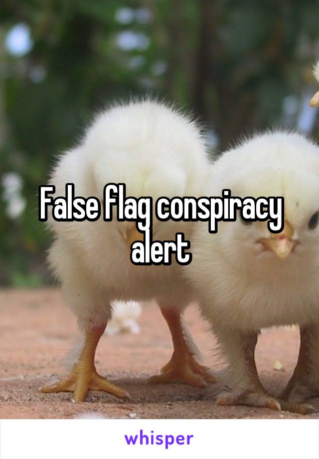 False flag conspiracy alert