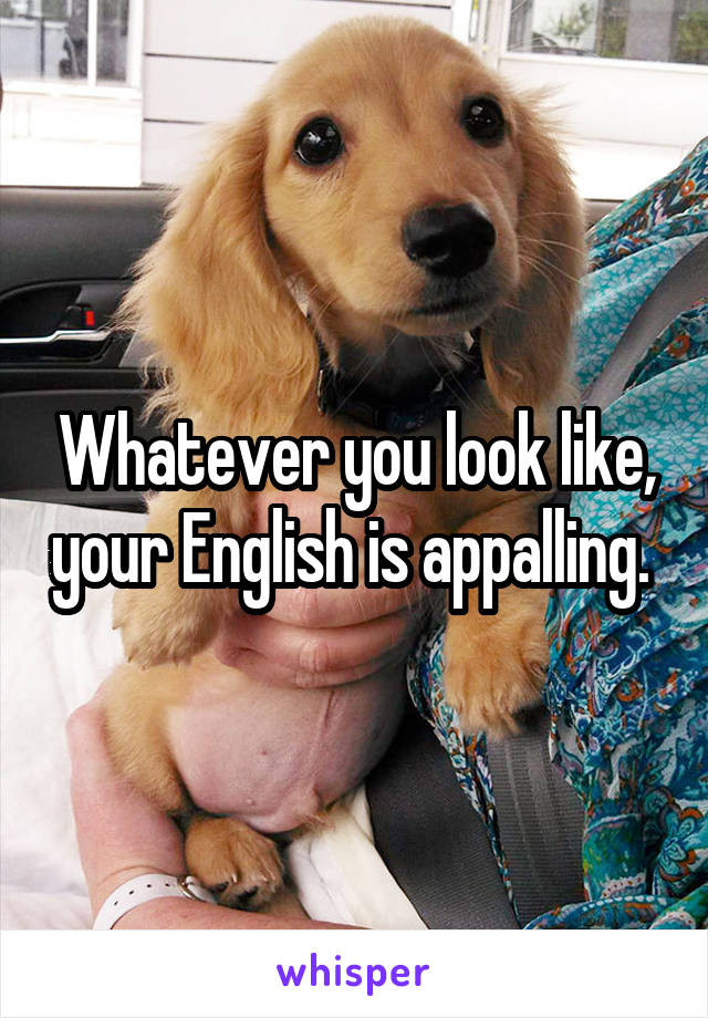 Whatever you look like, your English is appalling. 