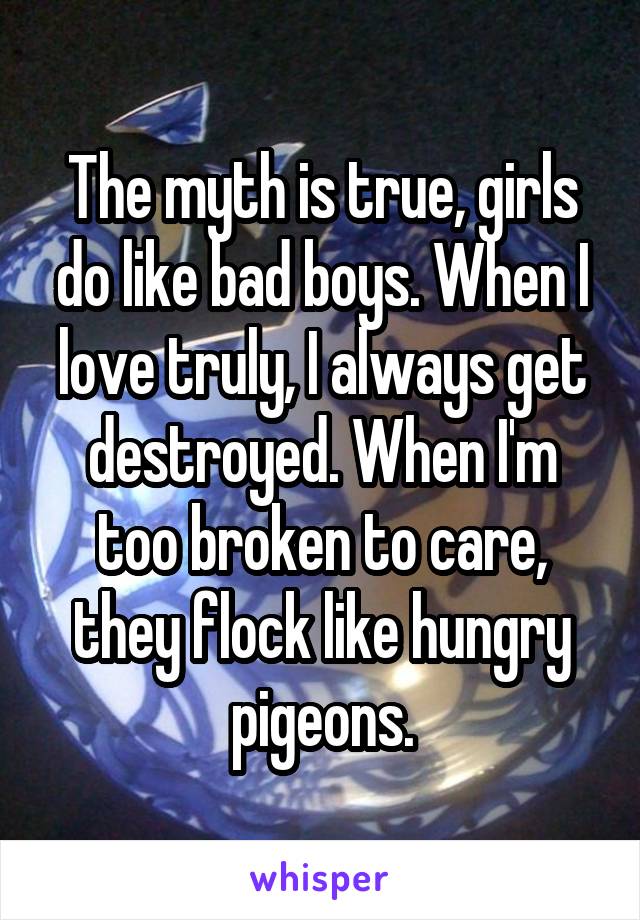 The myth is true, girls do like bad boys. When I love truly, I always get destroyed. When I'm too broken to care, they flock like hungry pigeons.