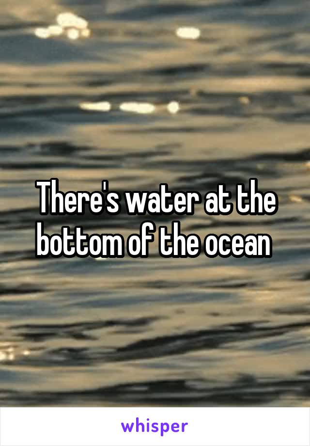 There's water at the bottom of the ocean 