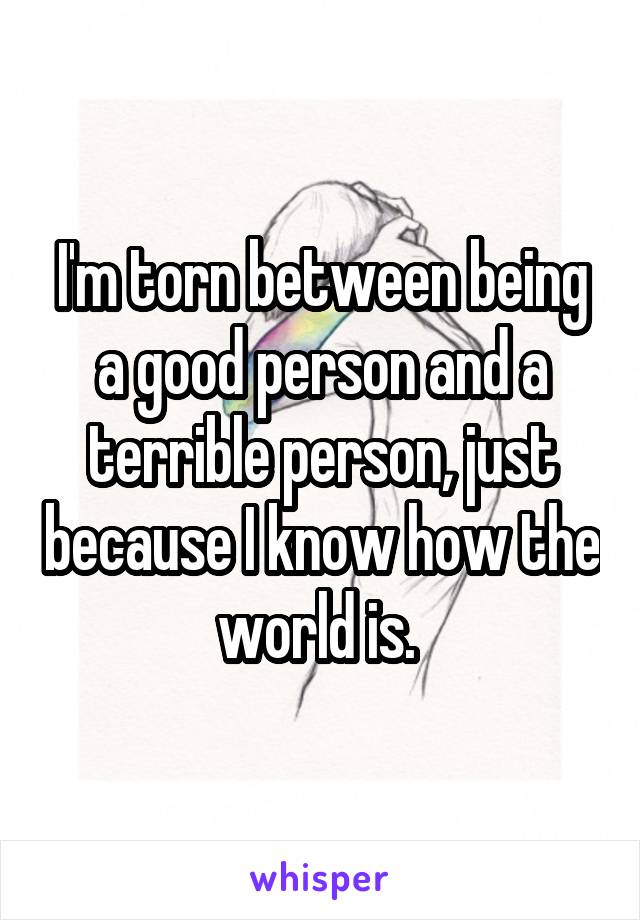 I'm torn between being a good person and a terrible person, just because I know how the world is. 