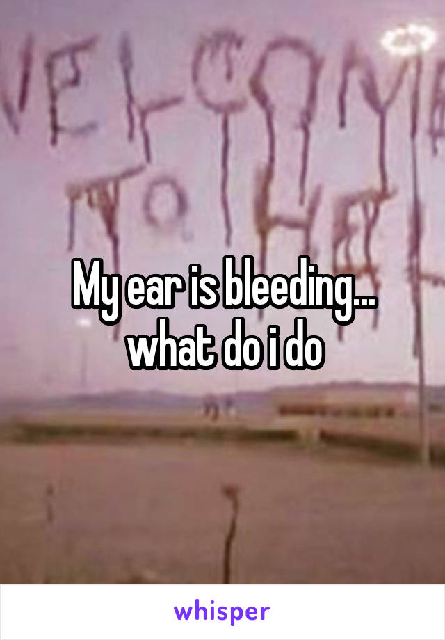 My ear is bleeding... what do i do