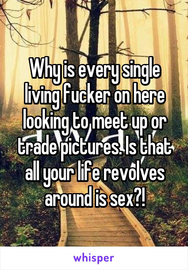 Why is every single living fucker on here looking to meet up or trade pictures. Is that all your life revolves around is sex?!