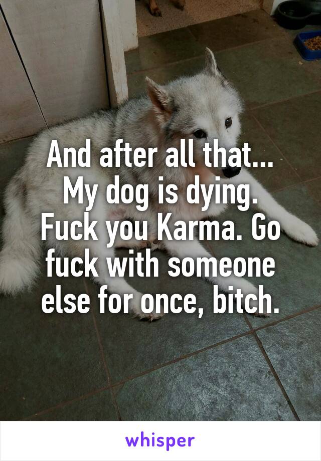 And after all that...
My dog is dying.
Fuck you Karma. Go fuck with someone else for once, bitch.