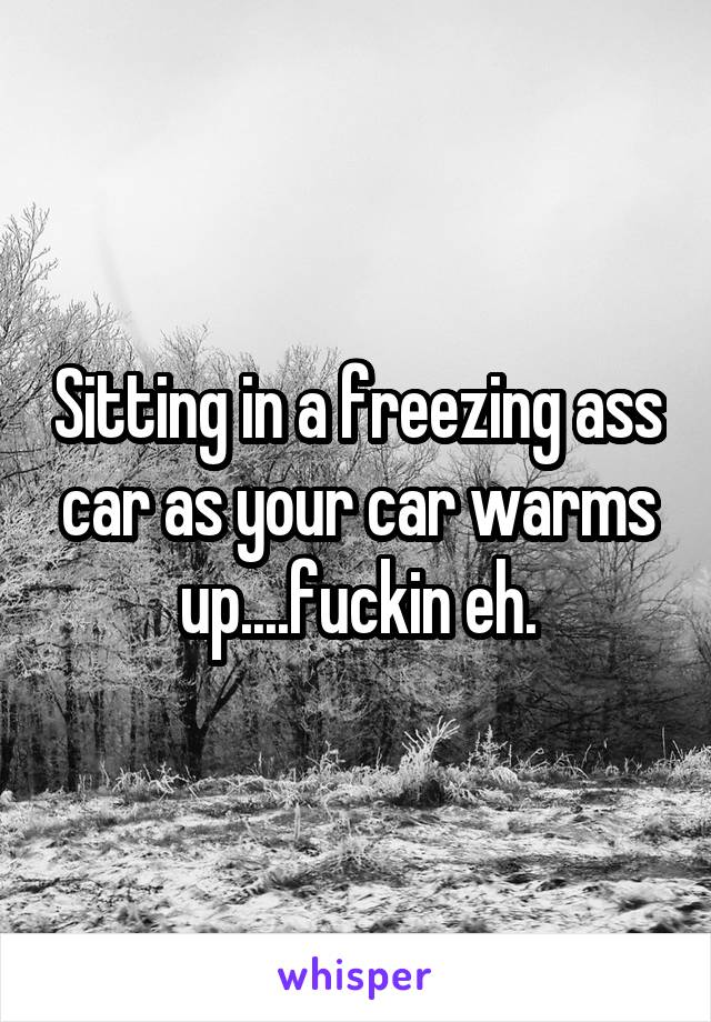 Sitting in a freezing ass car as your car warms up....fuckin eh.