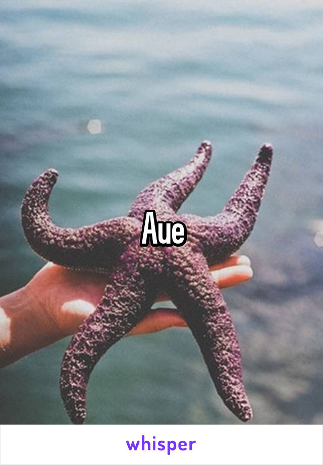 Aue