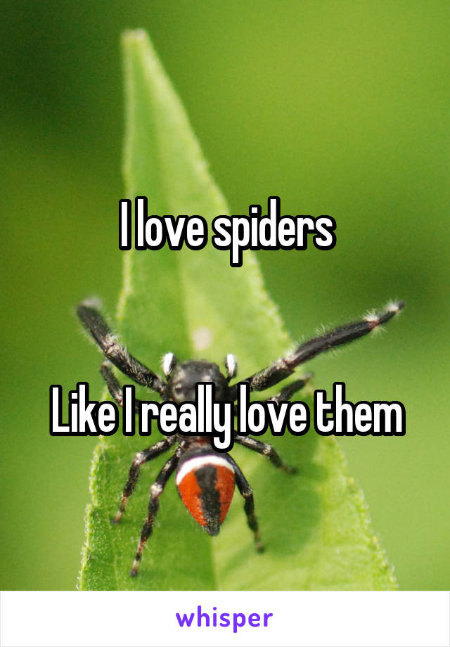 I love spiders


Like I really love them