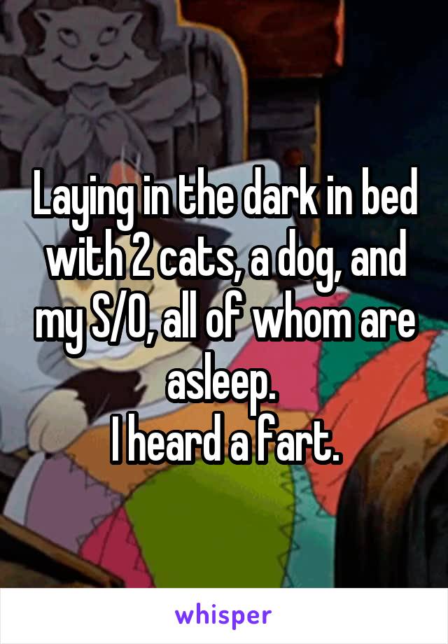 Laying in the dark in bed with 2 cats, a dog, and my S/O, all of whom are asleep. 
I heard a fart.