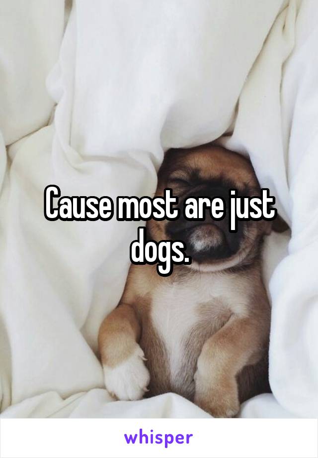 Cause most are just dogs.