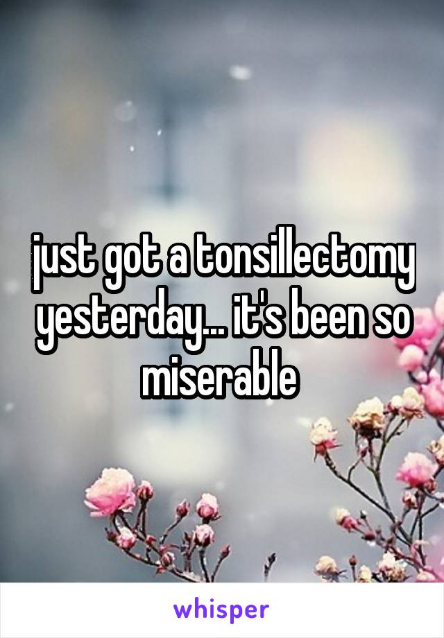 just got a tonsillectomy yesterday... it's been so miserable 