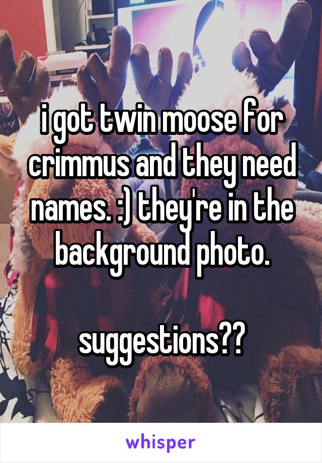 i got twin moose for crimmus and they need names. :) they're in the background photo.

suggestions??