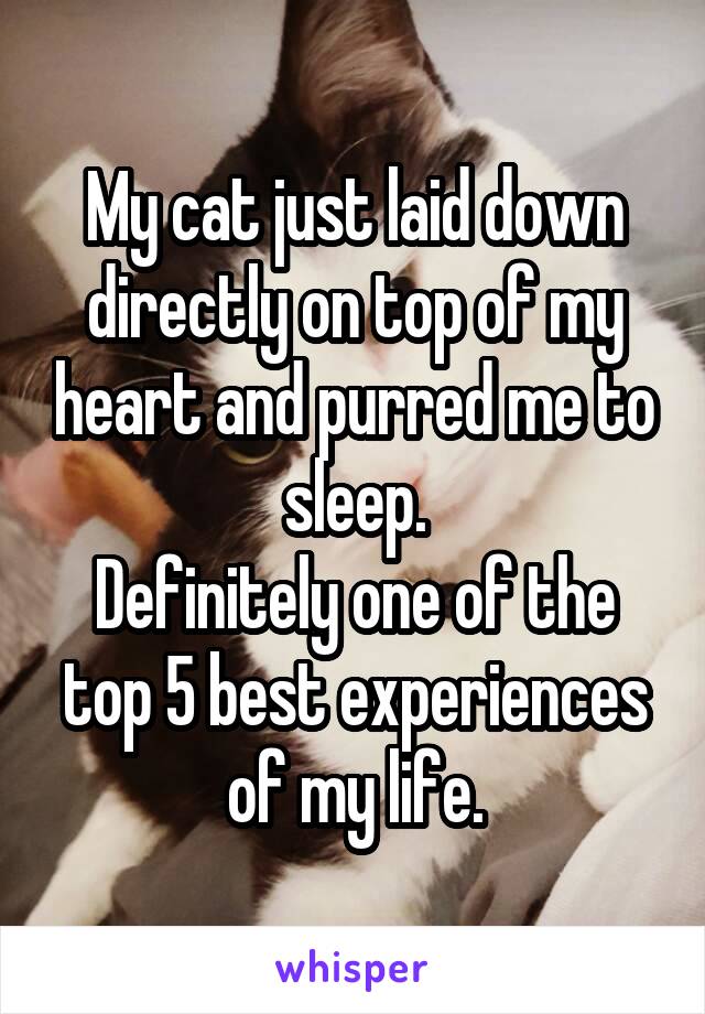 My cat just laid down directly on top of my heart and purred me to sleep.
Definitely one of the top 5 best experiences of my life.