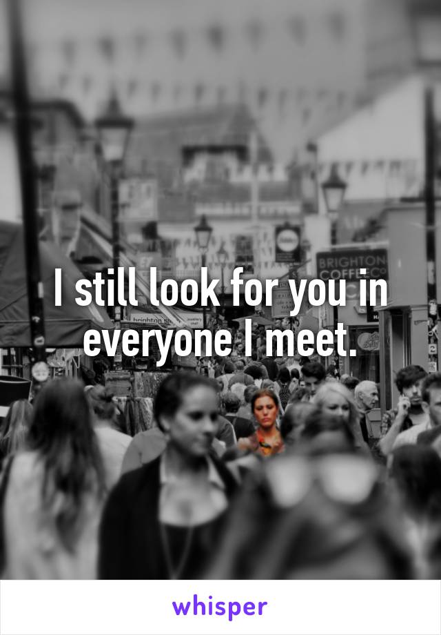 I still look for you in everyone I meet.