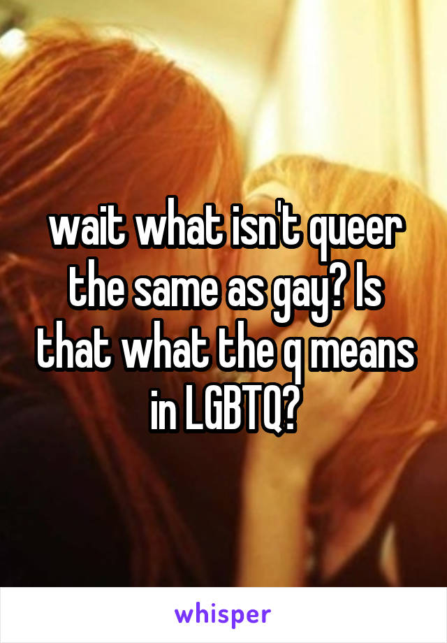 wait what isn't queer the same as gay? Is that what the q means in LGBTQ?