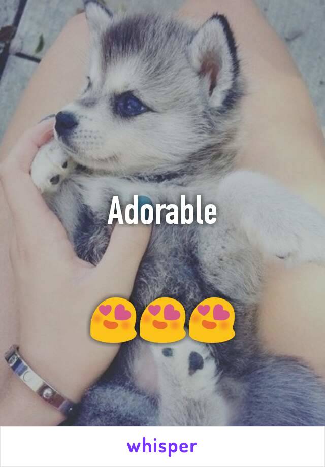 Adorable
 

😍😍😍