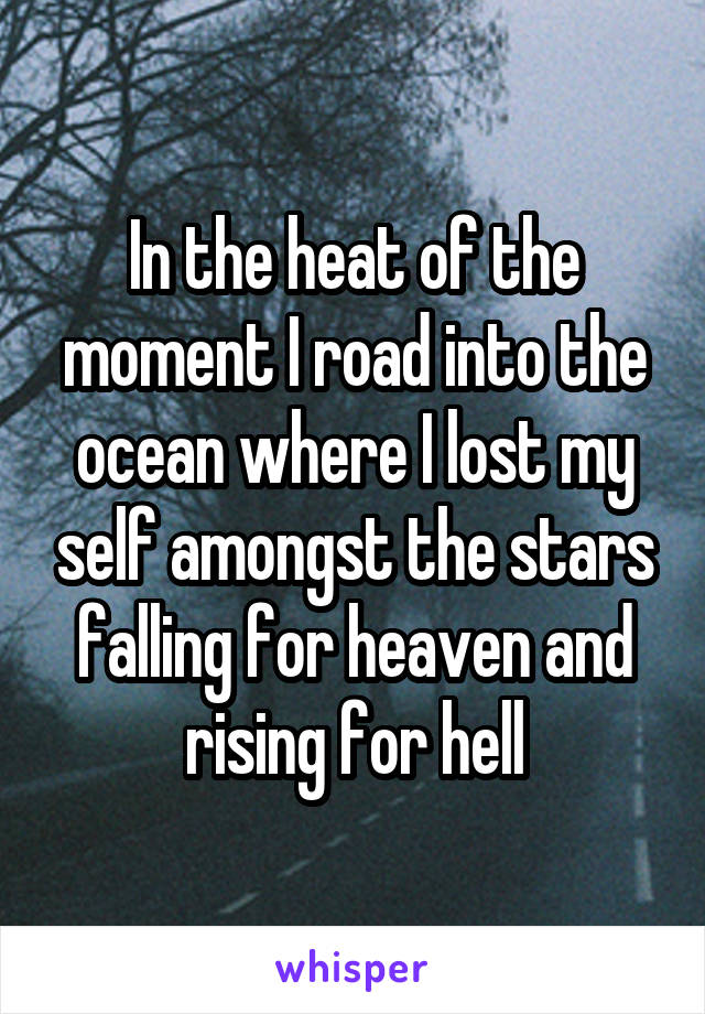 In the heat of the moment I road into the ocean where I lost my self amongst the stars falling for heaven and rising for hell