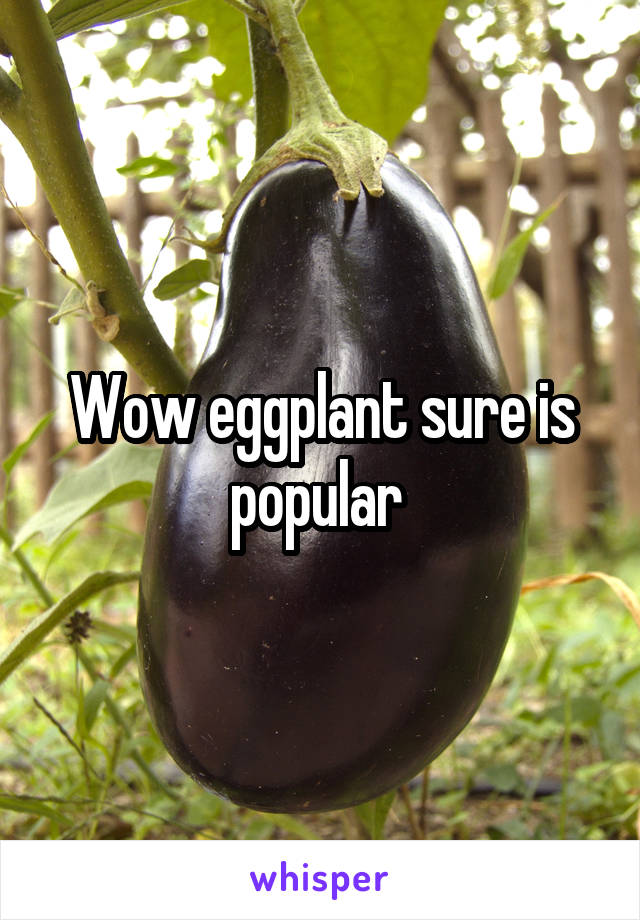 Wow eggplant sure is popular 