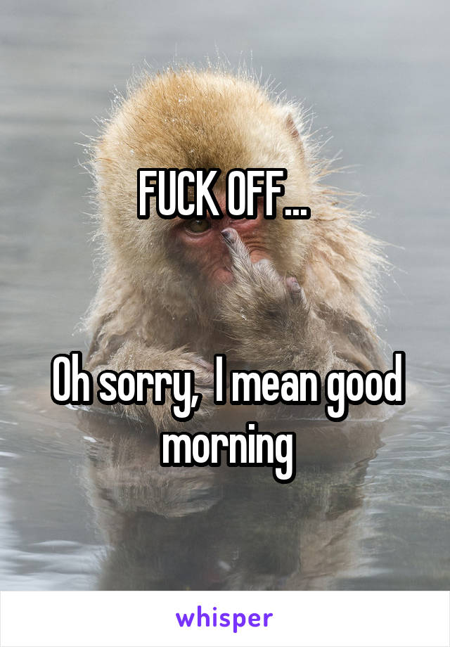 FUCK OFF... 


Oh sorry,  I mean good morning