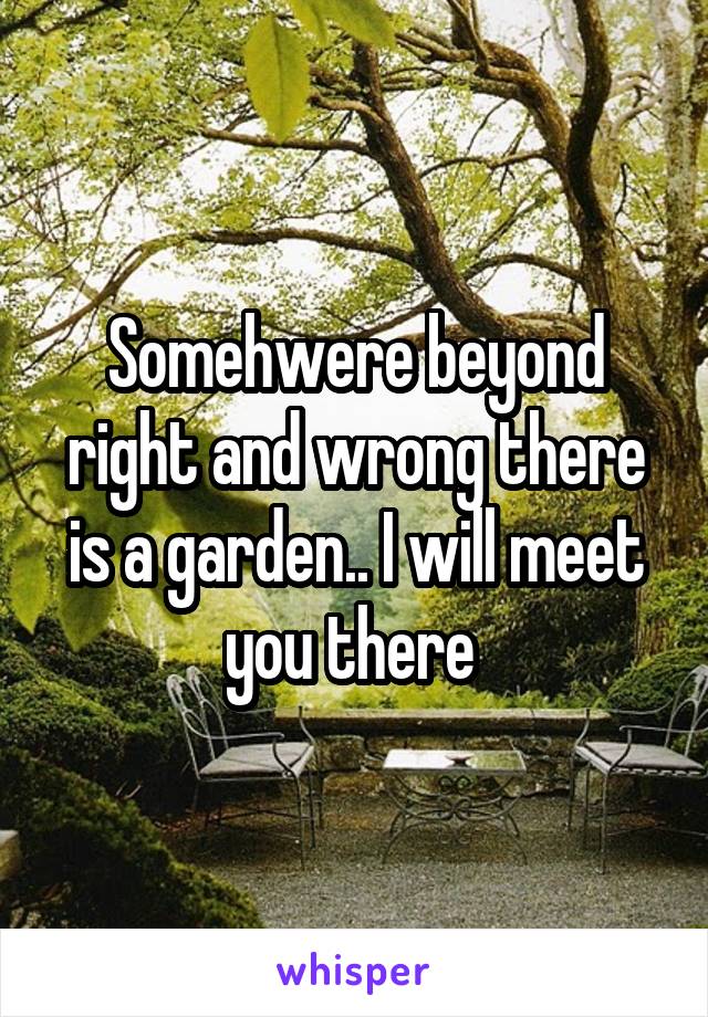 Somehwere beyond right and wrong there is a garden.. I will meet you there 