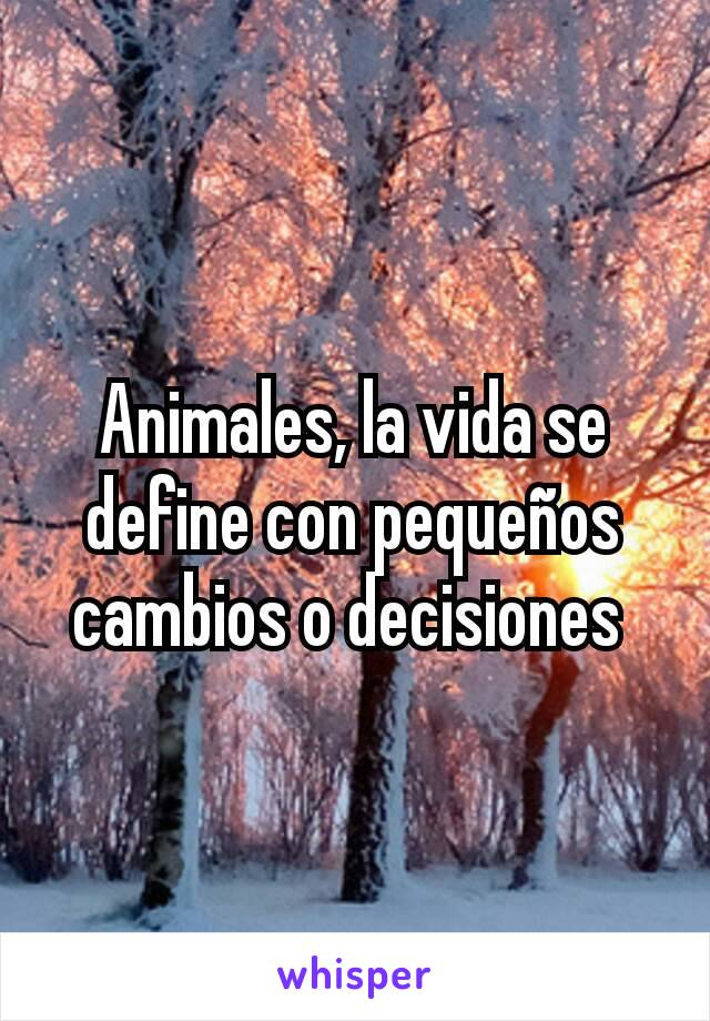 Animales, la vida se define con pequeños cambios o decisiones 