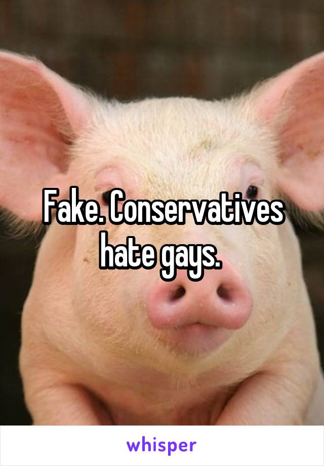 Fake. Conservatives hate gays. 