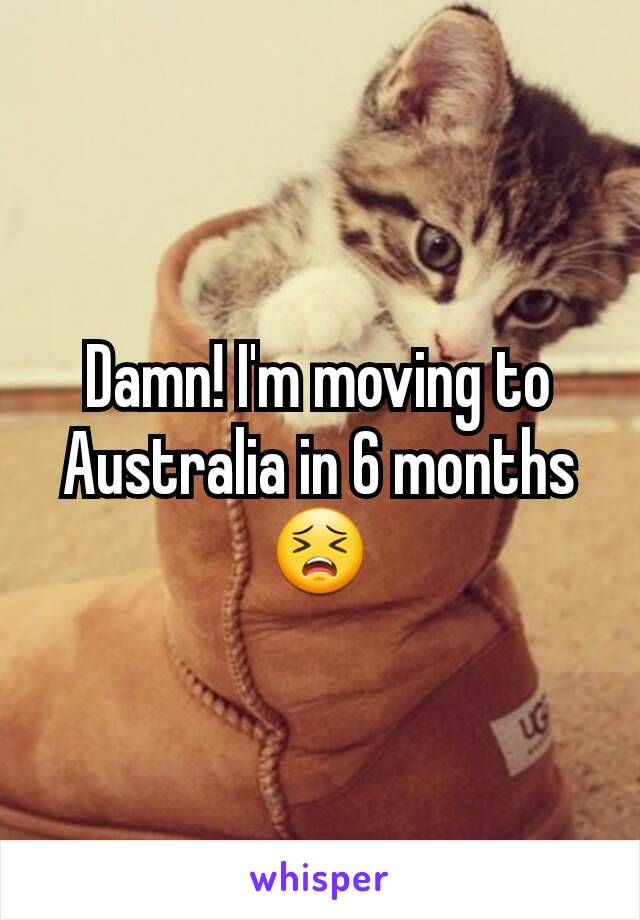 Damn! I'm moving to Australia in 6 months 😣