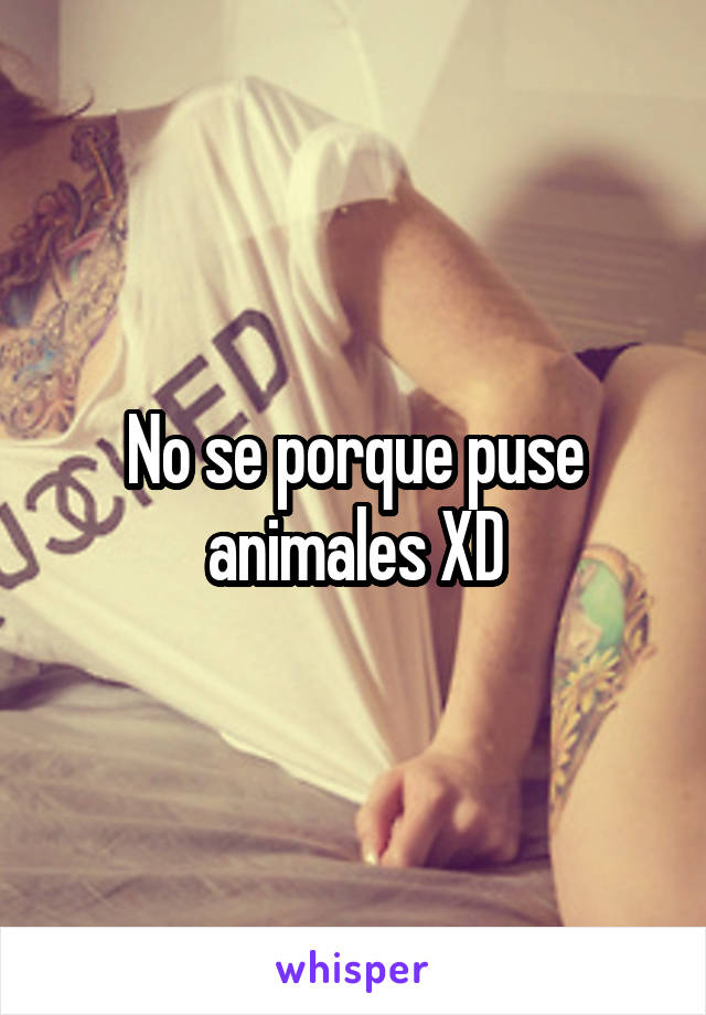 No se porque puse animales XD