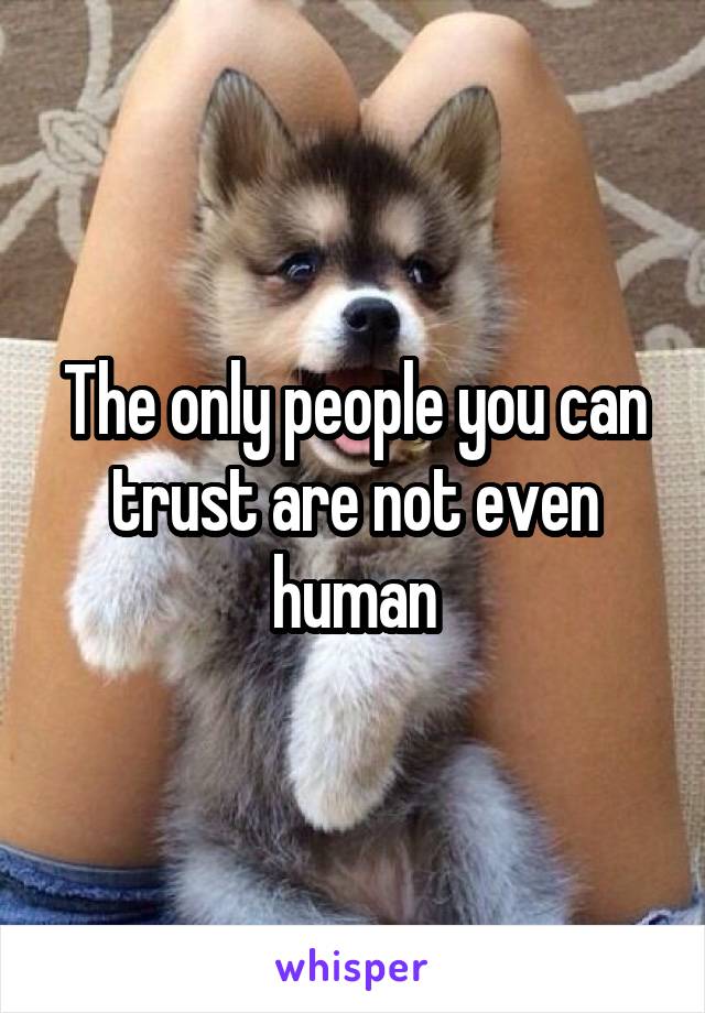 The only people you can trust are not even human