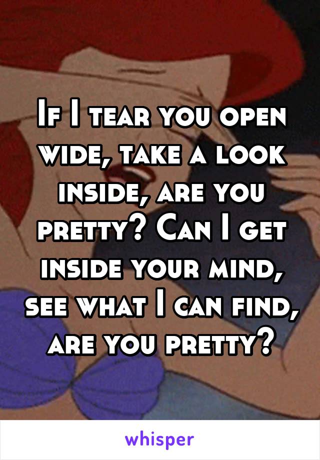 If I tear you open wide, take a look inside, are you pretty? Can I get inside your mind, see what I can find, are you pretty?