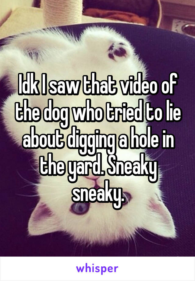 Idk I saw that video of the dog who tried to lie about digging a hole in the yard. Sneaky sneaky.