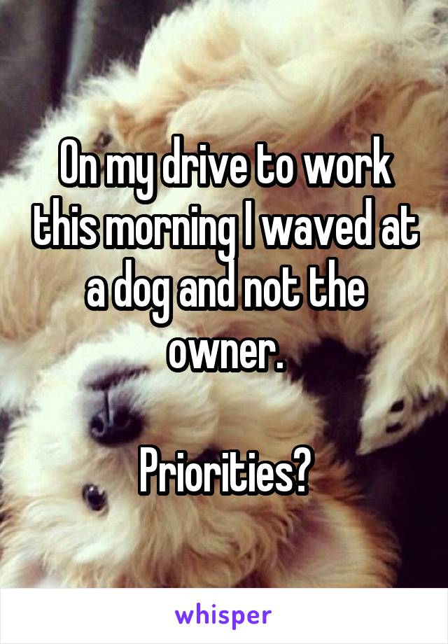 On my drive to work this morning I waved at a dog and not the owner.

Priorities?