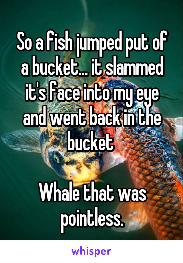 So a fish jumped put of a bucket... it slammed it's face into my eye and went back in the bucket 

Whale that was pointless.