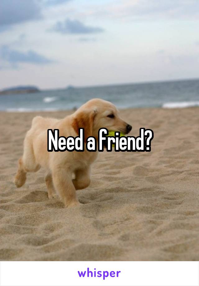 Need a friend?