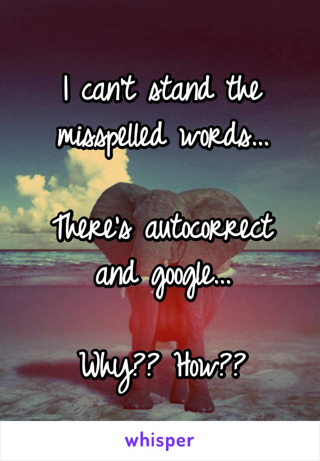 I can't stand the misspelled words...

There's autocorrect and google...

Why?? How??