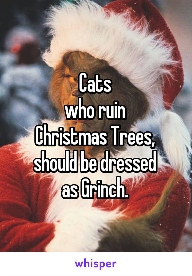 Cats 
who ruin 
Christmas Trees, 
should be dressed 
as Grinch. 