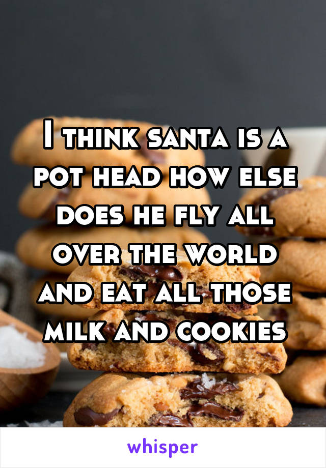 I think santa is a pot head how else does he fly all over the world and eat all those milk and cookies