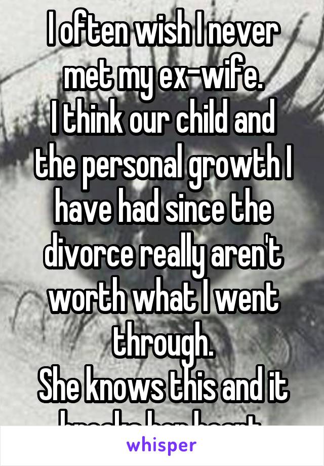 I often wish I never met my ex-wife.
I think our child and the personal growth I have had since the divorce really aren't worth what I went through.
She knows this and it breaks her heart.