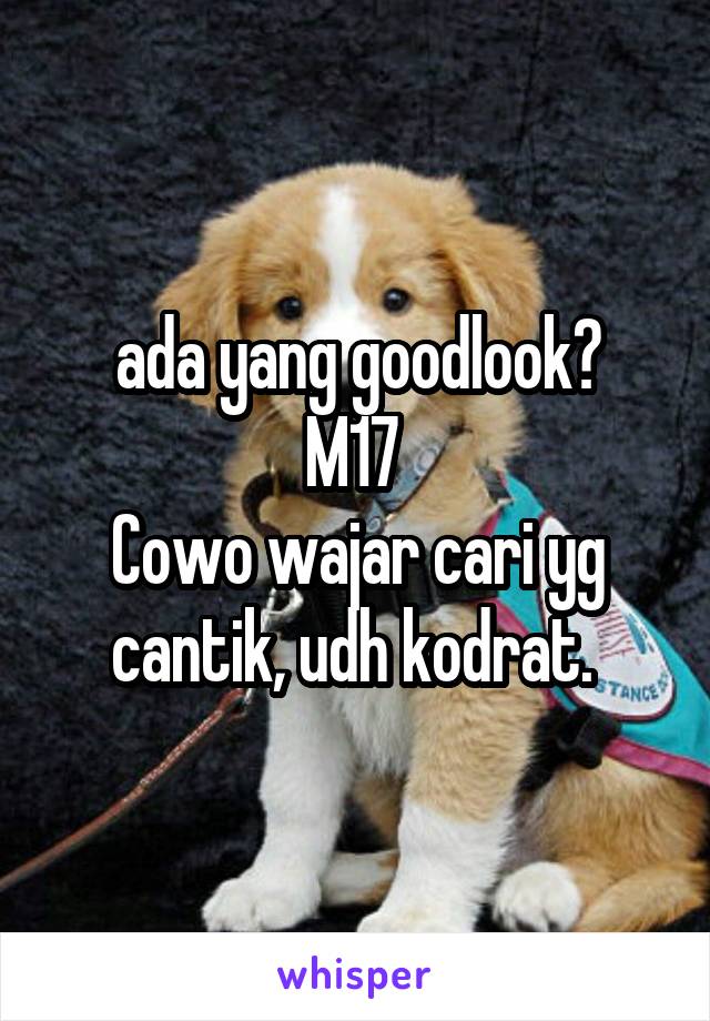 ada yang goodlook?
M17 
Cowo wajar cari yg cantik, udh kodrat. 