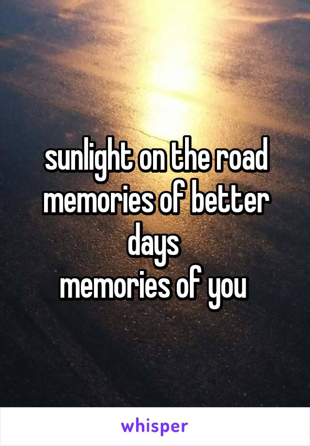 sunlight on the road
memories of better days 
memories of you 