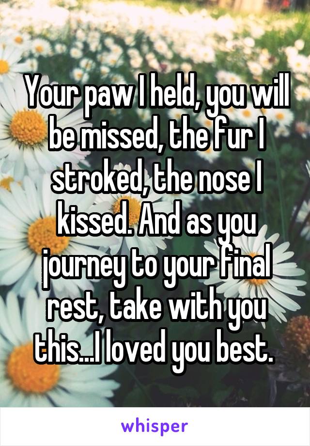 Your paw I held, you will be missed, the fur I stroked, the nose I kissed. And as you journey to your final rest, take with you this...I loved you best. 