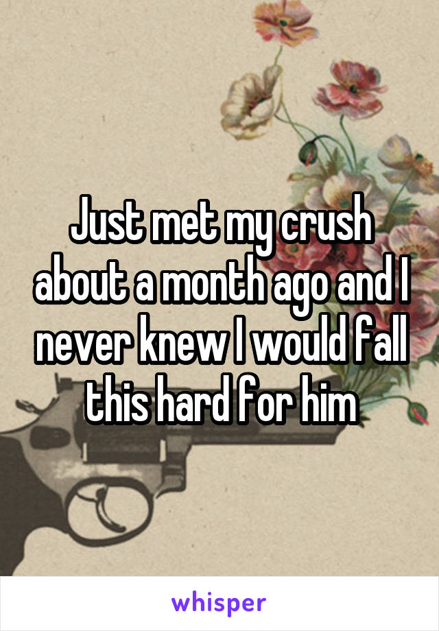 Just met my crush about a month ago and I never knew I would fall this hard for him