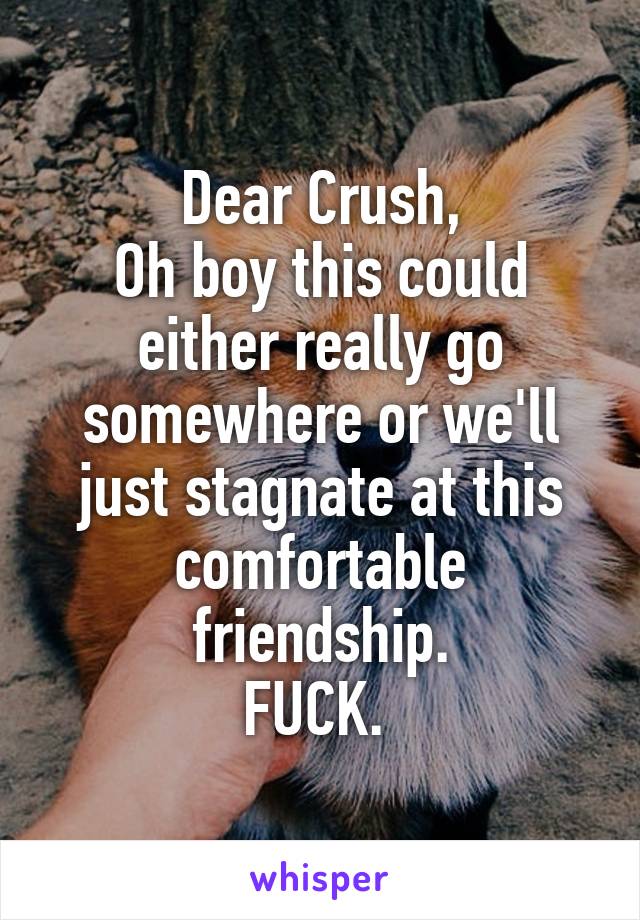 Dear Crush,
Oh boy this could either really go somewhere or we'll just stagnate at this comfortable friendship.
FUCK. 