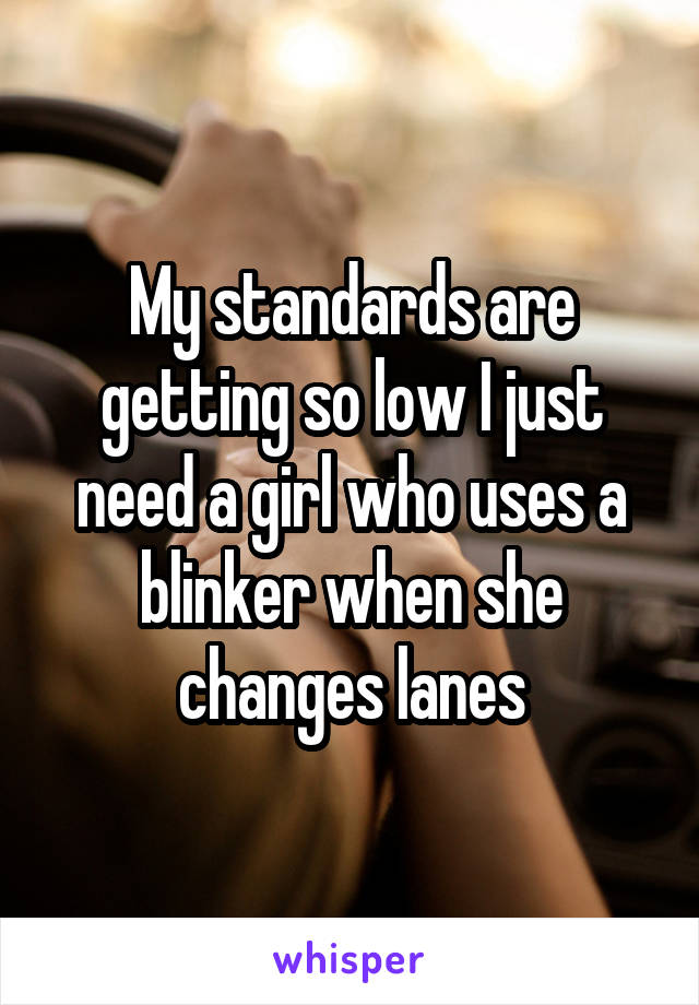 My standards are getting so low I just need a girl who uses a blinker when she changes lanes