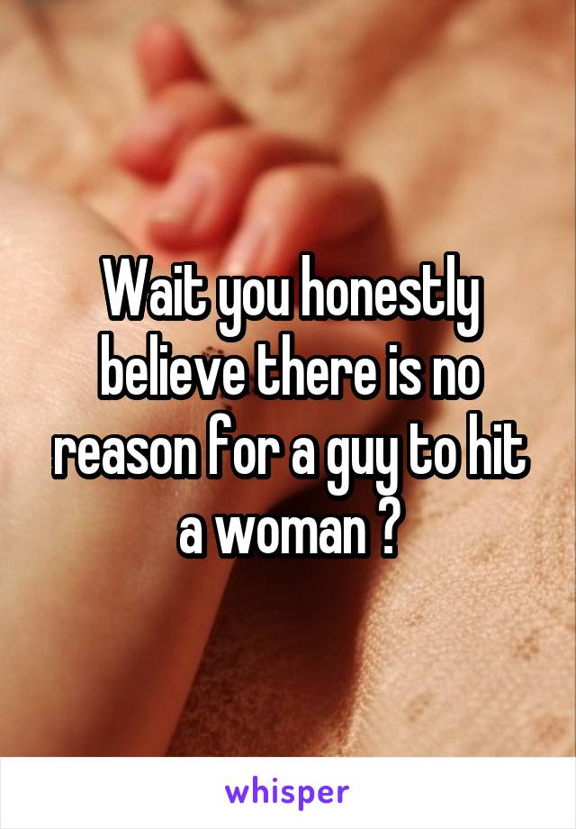 Wait you honestly believe there is no reason for a guy to hit a woman ?