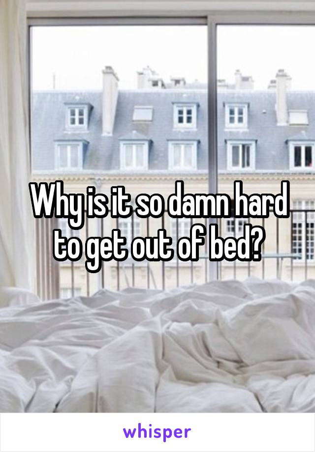 Why is it so damn hard to get out of bed?