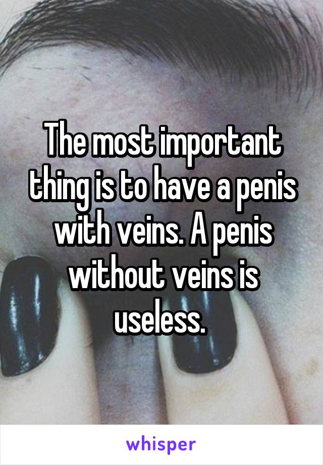 The most important thing is to have a penis with veins. A penis without veins is useless. 