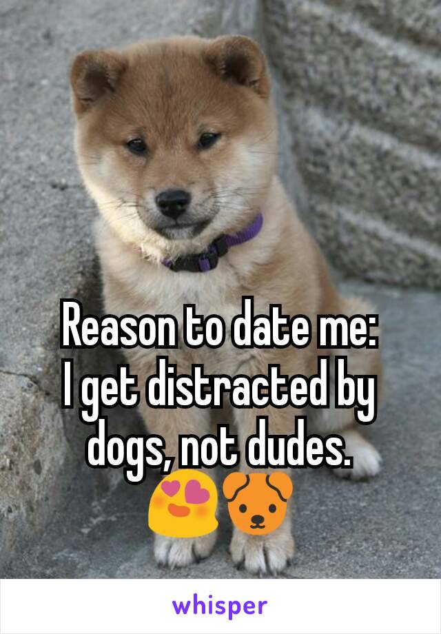 Reason to date me:
I get distracted by dogs, not dudes.
😍🐶