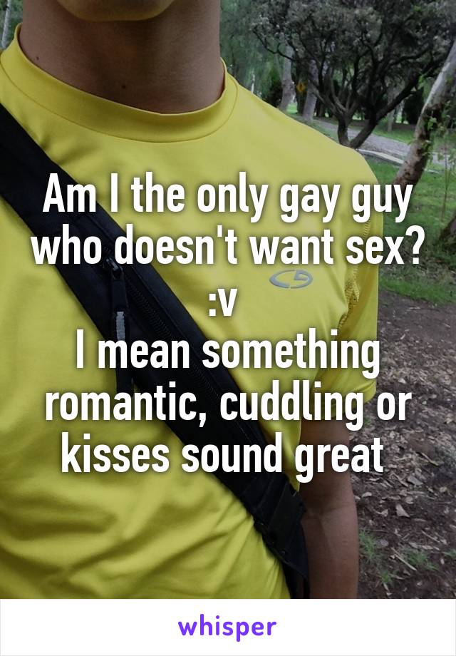 Am I the only gay guy who doesn't want sex? :v 
I mean something romantic, cuddling or kisses sound great 